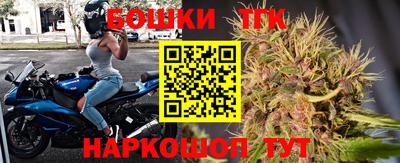 шишки Абакан