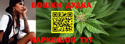 шишки Абакан