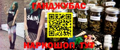шишки Абакан