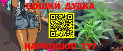 шишки Абакан