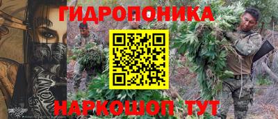 шишки Абакан