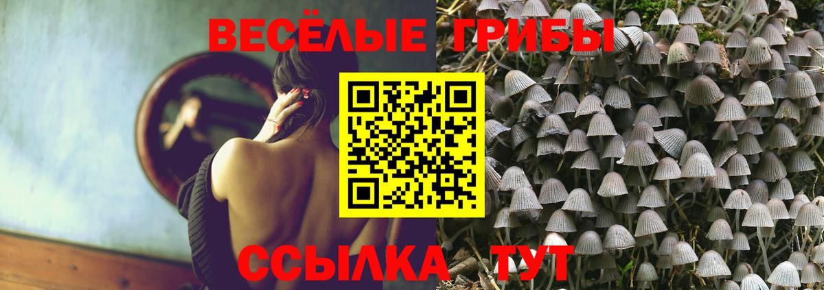 Галлюциногенные грибы мицелий Амурск