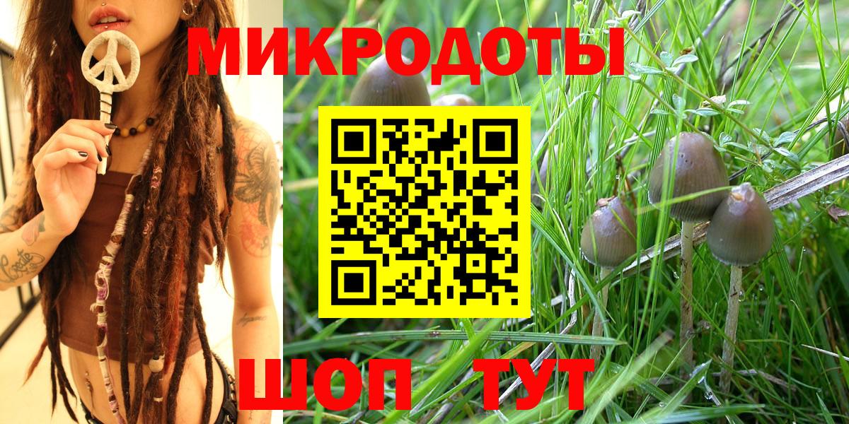 Галлюциногенные грибы Psilocybe  Вход с VPN  Амурск 